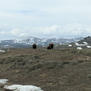 Meet your Posher, Meghan